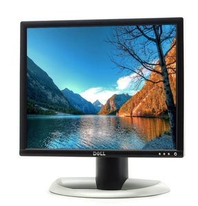 Dell 1901FP - Flat Panel Display - TFT - 19" UltraSharp LCD Monitor with Stand/Base